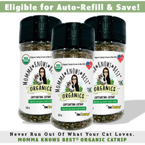 Catnip Momma Knows Best Organic Catnip pack of 3 Auto-ship