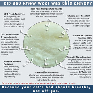 anatomy of wool cat beds us made by toe beans