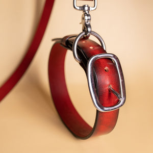 leather dog collar and leash by toe beans and American Artisan large