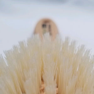 Cat Brush with tampico fiber bristles, made in Germany for toe beans