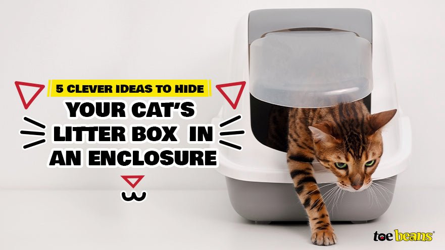 5 Clever Ideas to Hide Your Cat's Litter Box in an Enclosure by toe beans