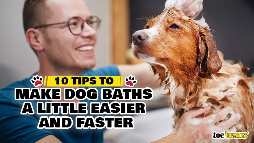 10 Tips to Make Dog Baths a Little Easier and Faster by toe beans