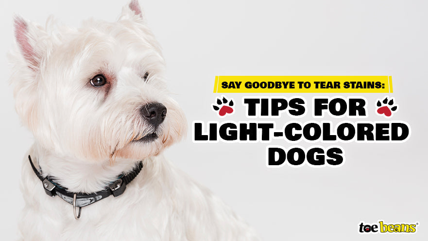 Say Goodbye to Tear Stains: Tips for Light-Colored Dogs by toe beans