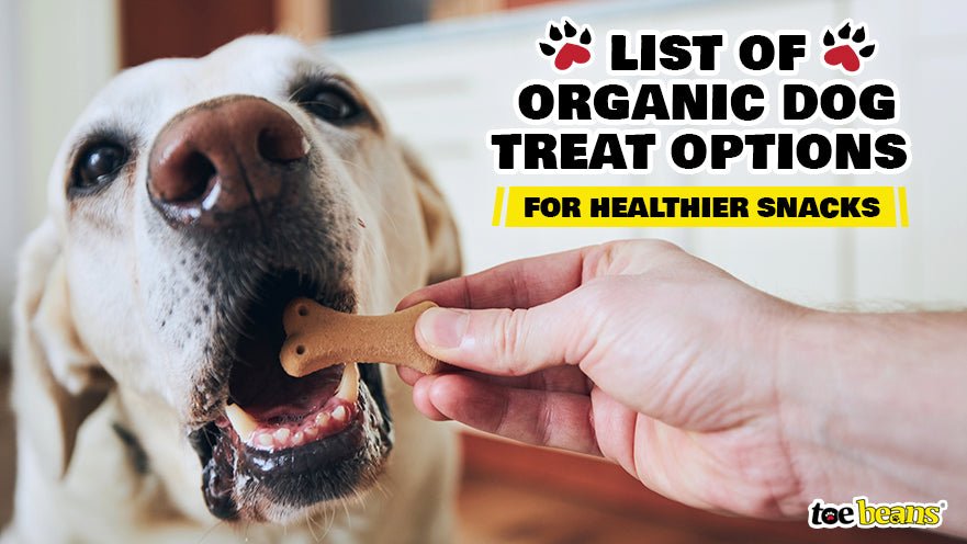 List of Organic Dog Treat Options for Healthier Snacks by toe beans
