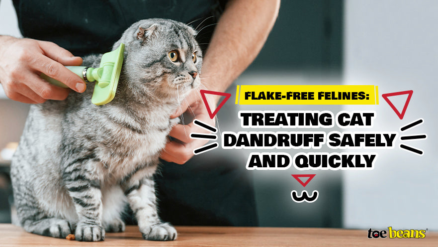 Flake-Free Felines: Treating Cat Dandruff Safely and Quickly by toe beans