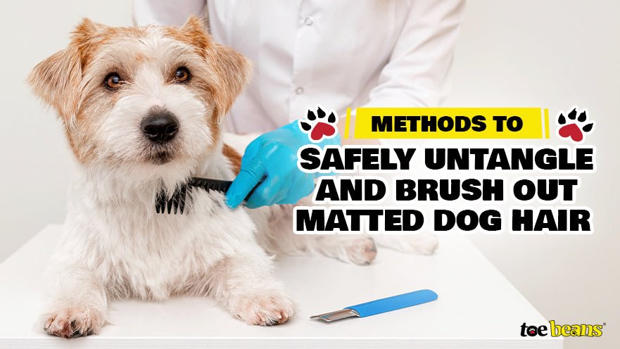 Methods to Safely Untangle and Brush Out Matted Dog Hair by toe beans