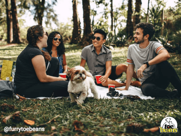 5 Spring Activities For You and Your Dog by toe beans