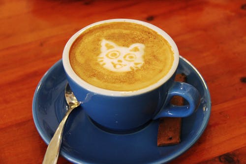 Cat Cafés: What Are They And Why Visit Them by toe beans