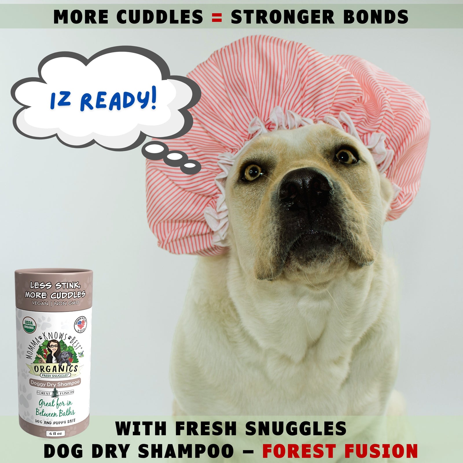 Dog ready for dry dog shampoo by Toe Beans