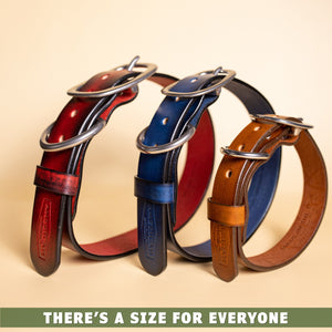 Leather dog collar and accessories by toe beans and American Artisan