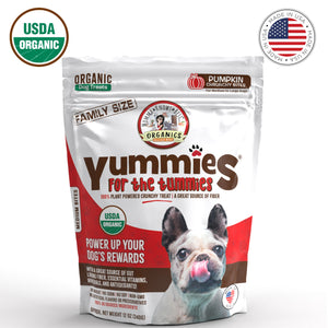 Front view of a  bag of organic pumpkin dog treats Yummies for the Tummies by Momma Knows Best