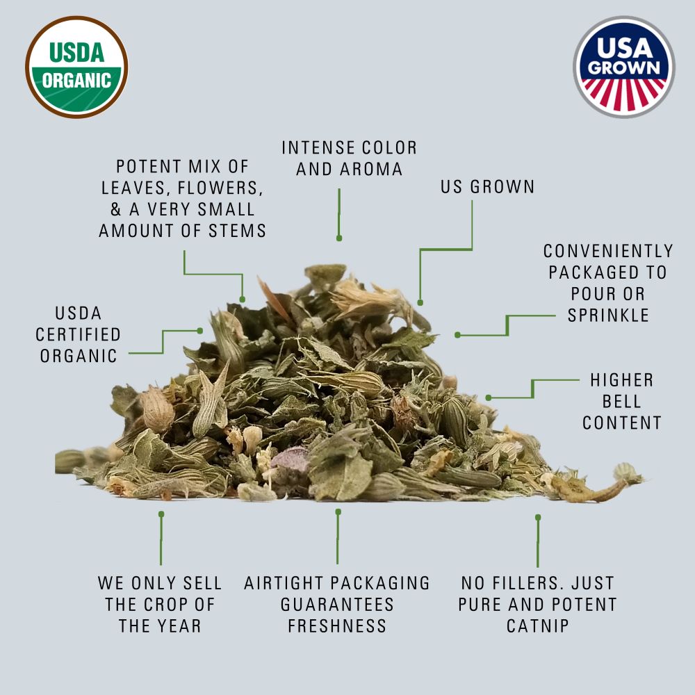 Organic catnip key features by Momma Knows Best® 