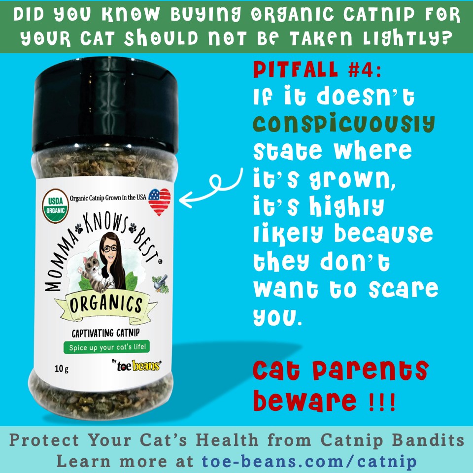 USDA certified organic catnip by Momma Knows Best