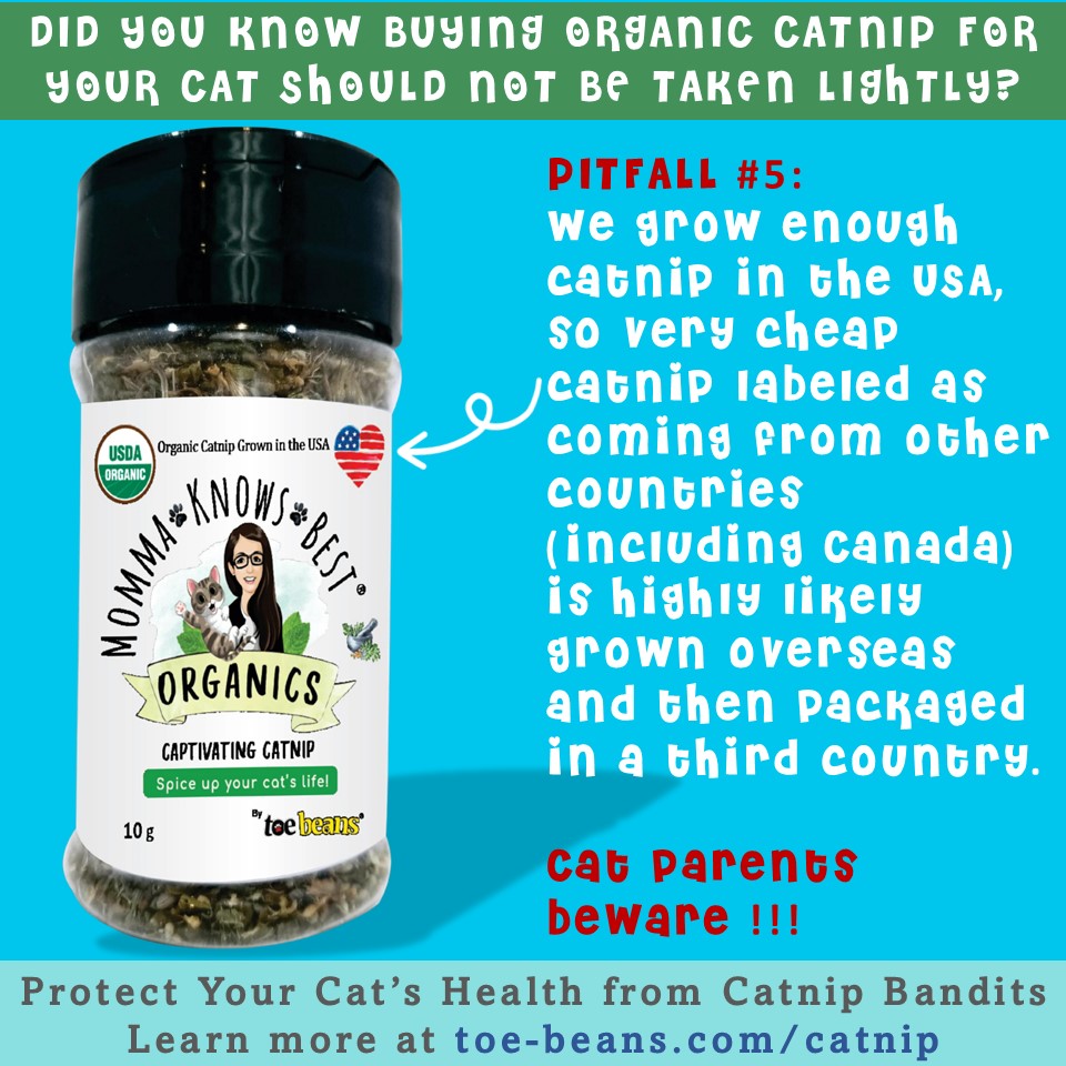 USDA certified organic catnip
