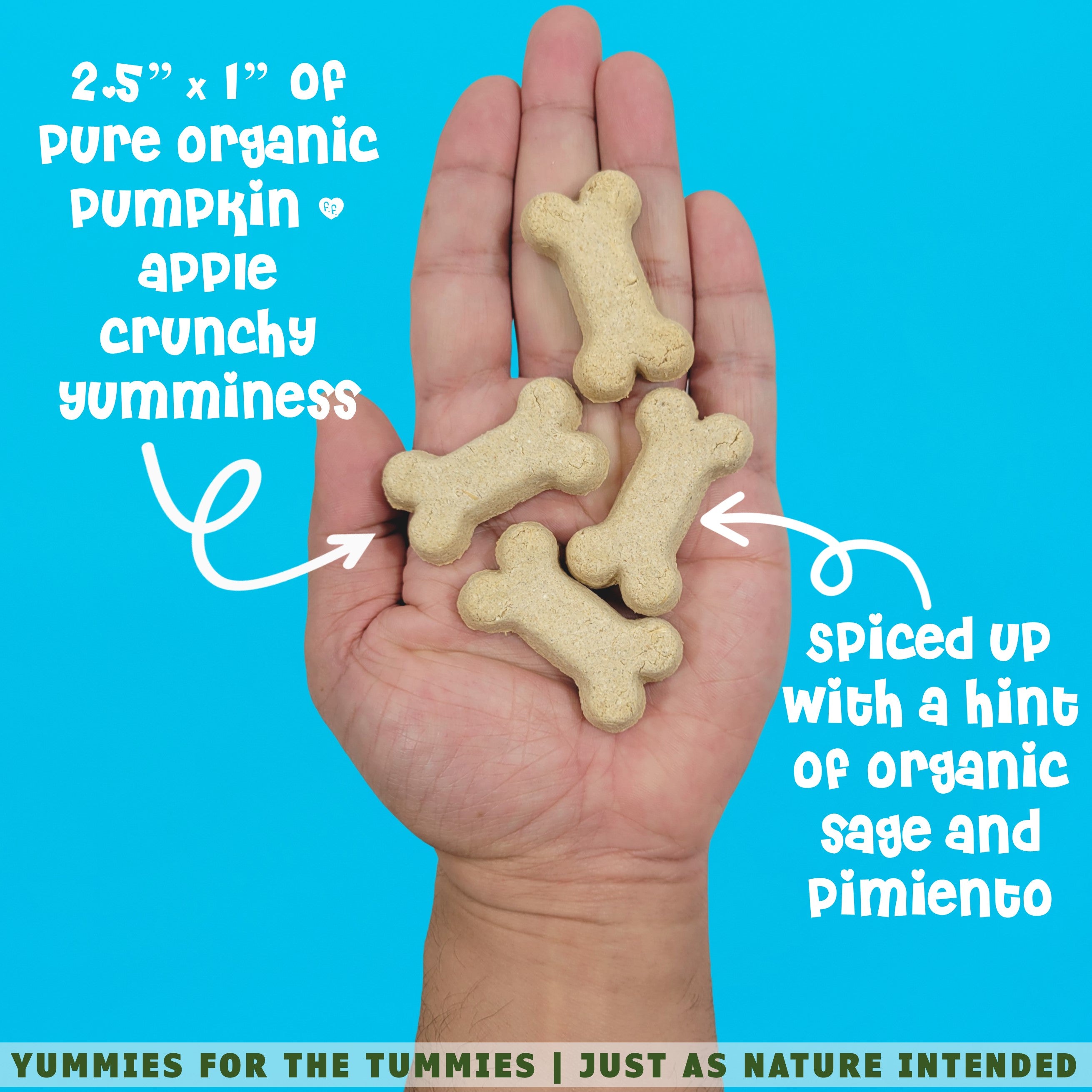 A hand holding a pile of pumpkin dog biscuits