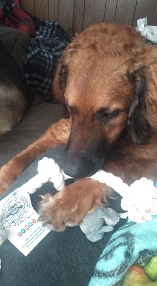 WINNER - Ashley's dog with the EarthCare Bio-rope by toe beans