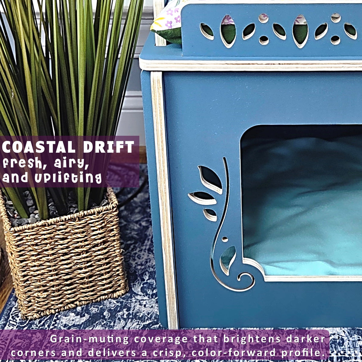 cat condos canopy coastal drift closeup
