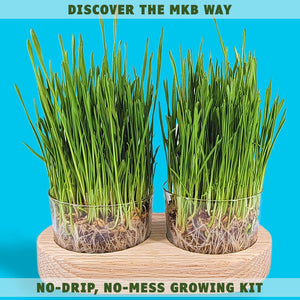cat grass growing kit wood by toe beans