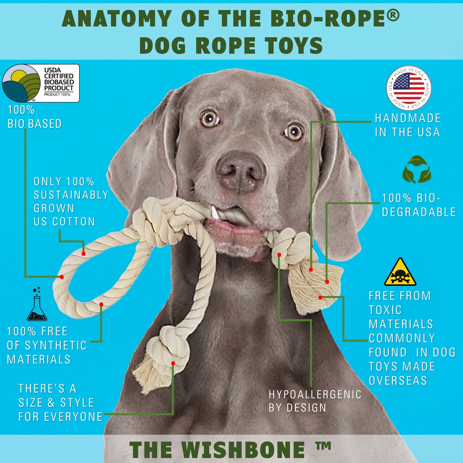 Dog tug-o-war toy by EarthCare and toe beans