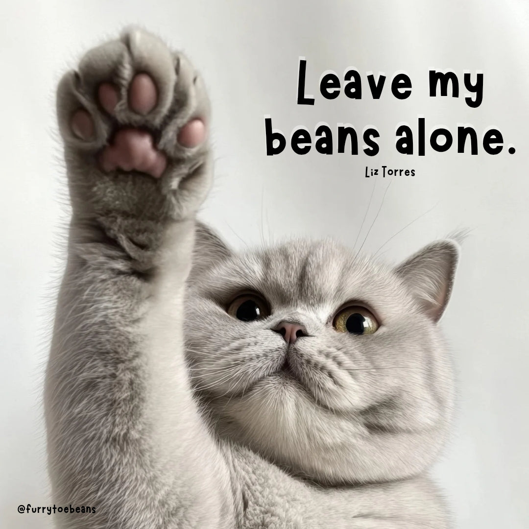 instagram cat meme by toe beans