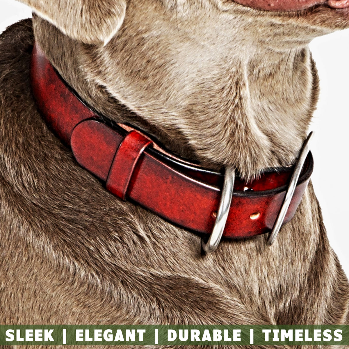 large-leather-dog-collar-red-toe-beans