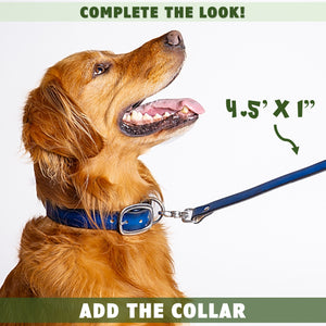 leather dog leash and collar by toe beans