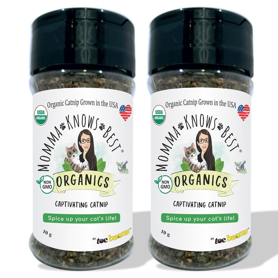 Catnip for cats, USDA organic grown in the US